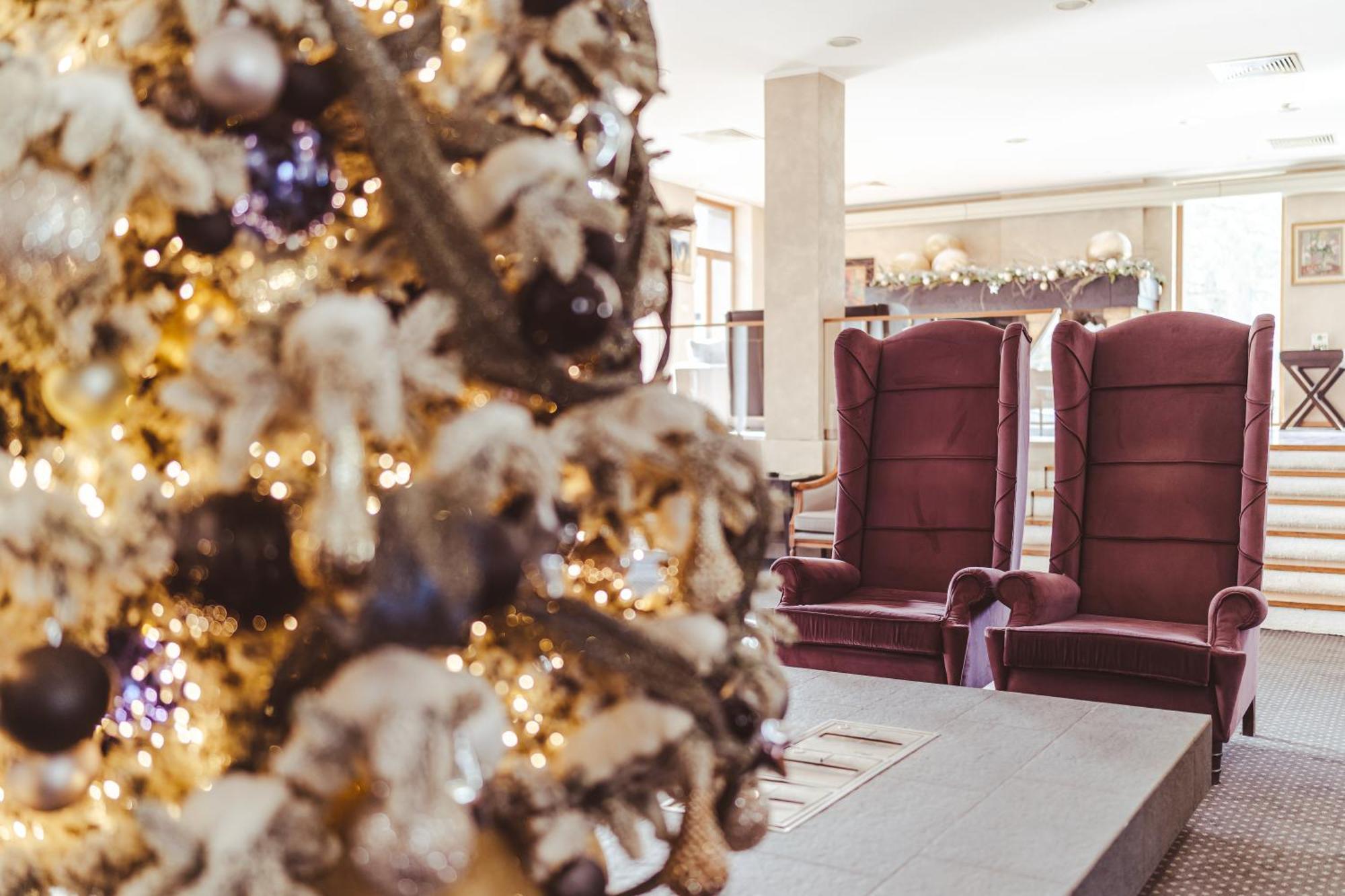 Hotel Palisad Златибор Экстерьер фото